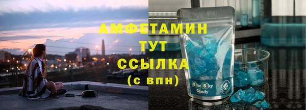 гидра Арсеньев
