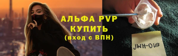 ECSTASY Тайга