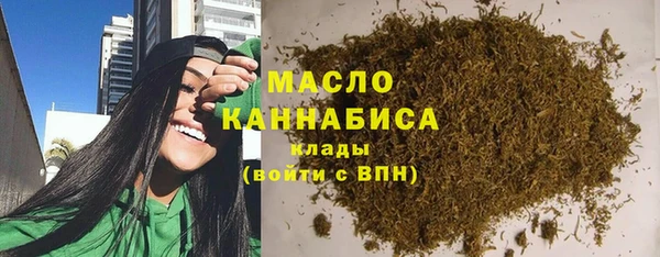гидра Арсеньев