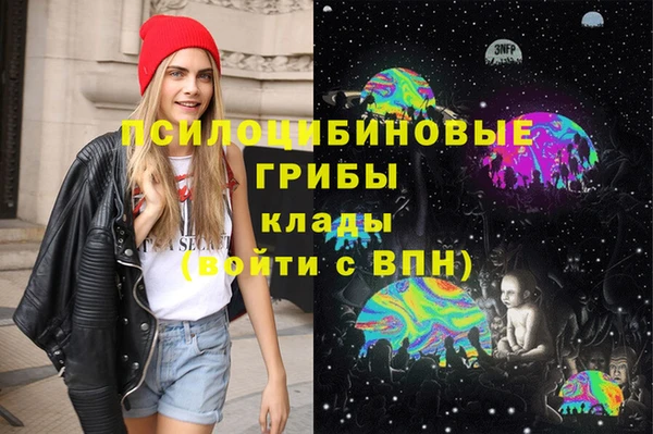 прущий лед Аркадак