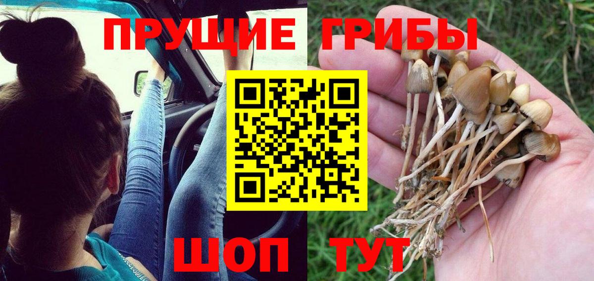 Псилоцибиновые грибы мухоморы  Вход с VPN  Псилоцибиновые грибы Cubensis  Фролово 