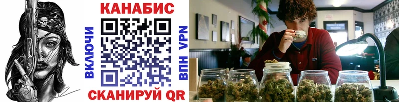 где купить наркотик  Фролово  гидра ТОР  Каннабис SATIVA & INDICA 